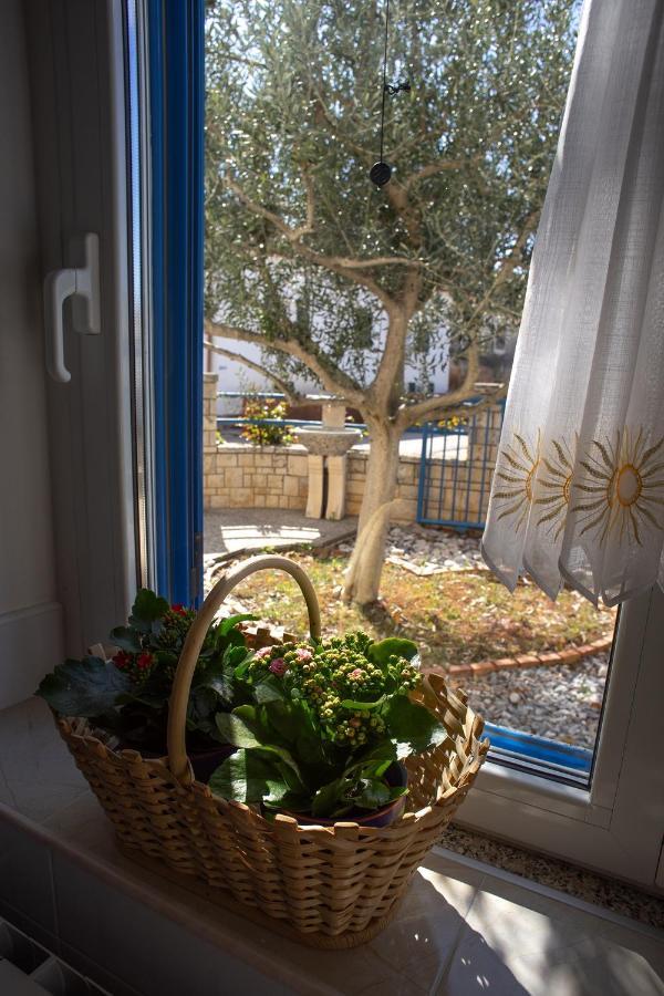 Olive Tree Apartments Umag Exteriör bild